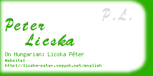 peter licska business card